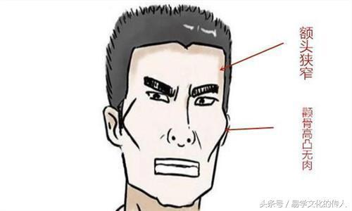 面相特征与职业平稳性的关联性解析