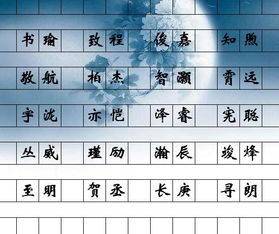 名字符号混杂版（全崭新噪音体验）