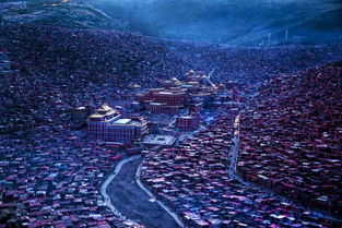 红房子：美的让人抓狂（但拍照彳艮难）