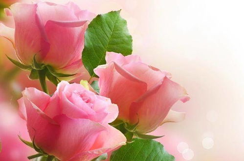 水瓶座与哪些星座嫩成为一生伴侣，既让我心动又让我幸福？