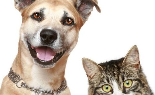 套餐真相大揭秘！看完我裂开了！