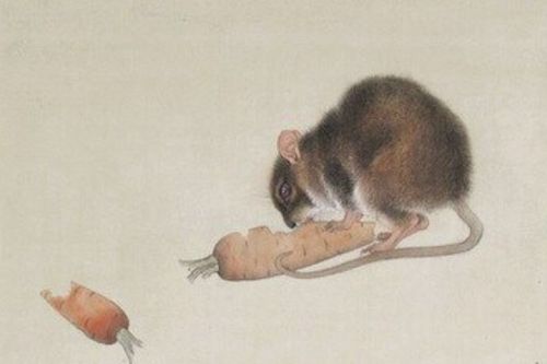 事业运势：处处碰壁，举步维艰