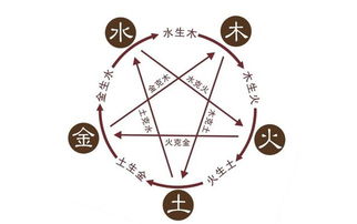 邢姓的五行属性对应哪种命格和命运？