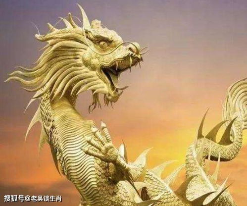 属龙人一生有几个孩子，他们的命是什么？