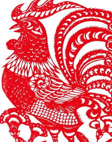 属鸡人遇兔年的运势变化