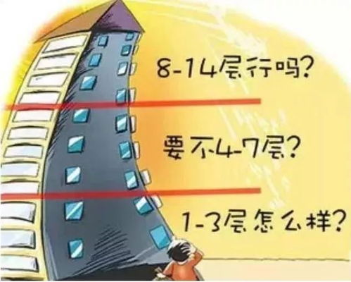 二、  平安性能与实用功能的深度考量