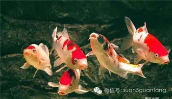 （二）具体数字之吉祥解读