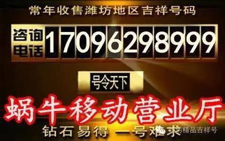 商业本质与旺财名称的必要性