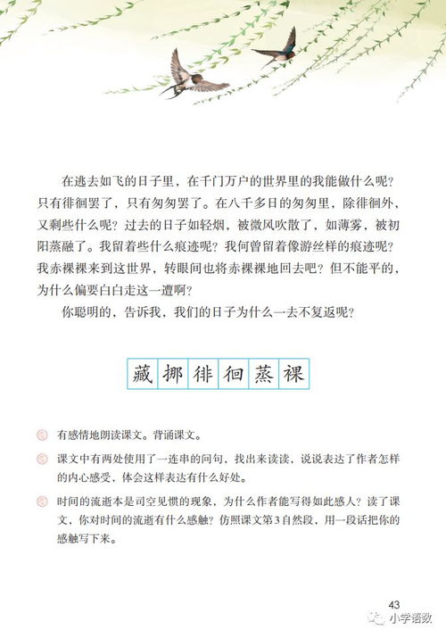 狗——忠诚善良、珍视友情的典范