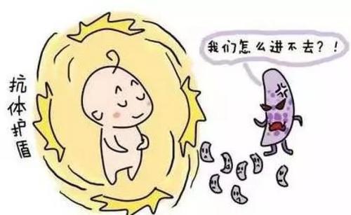 2、 豹鼻：意志力坚韧、抵抗力卓越