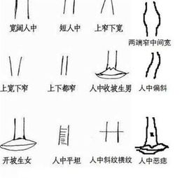 二、人中深长：体内气血运行的体现