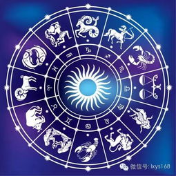 除了工作精益求精，还有哪个星座对其他方面没有特别要求？