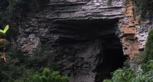 阿强的奇遇与守护之路