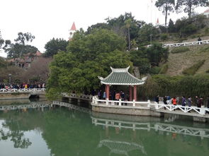 生肖马年的神秘优惠