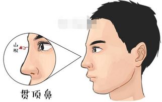 二、 财运与风险因素偏良好的关联性解析