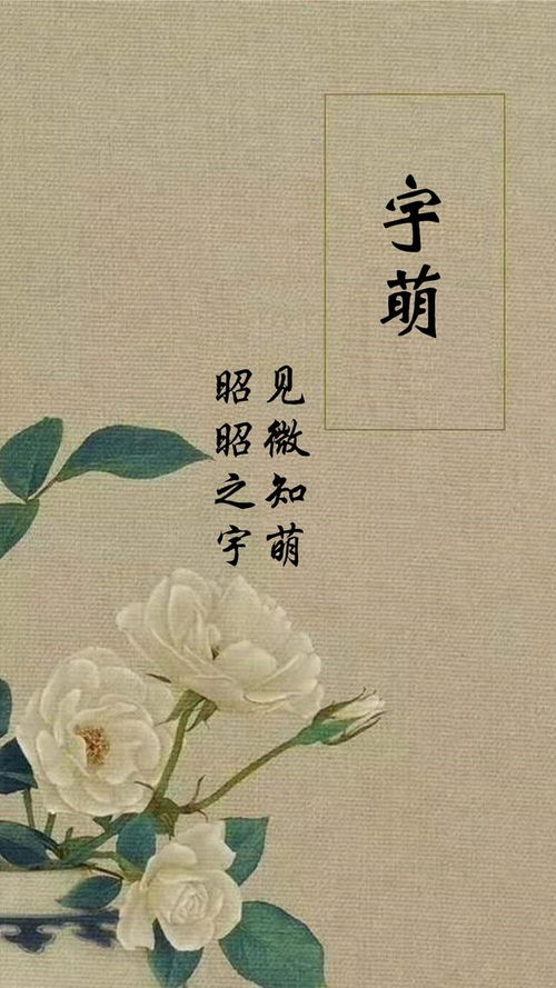 延宁家族：一声叹息与期盼