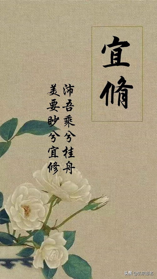 晨曦的音律之美