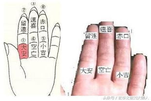 如何通过掐八字准确预测命运？