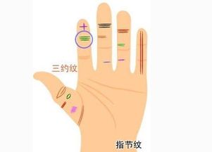 6．封闭严密的财库——聚财能力指数