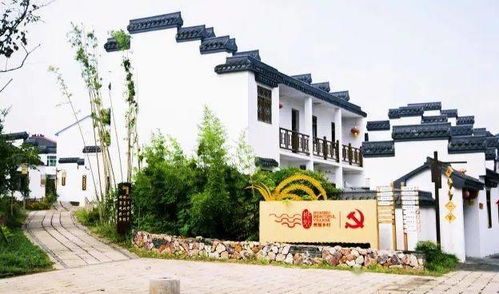 桦墅村大冤种之旅：2026年黄历说今天宜破财