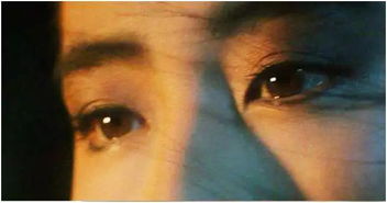 害羞程度与社交倾向