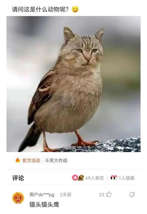 1. 名称本义的象征转喻