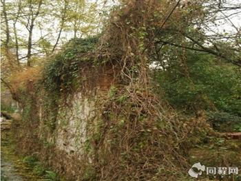 【尖叫】人比银杏叶还多！拍照要命！