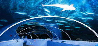 南京杭州海底世界门票价格查询，玩转海底奇幻之旅