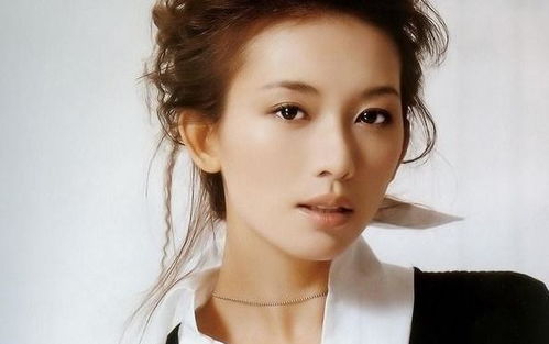 研究背景与目的