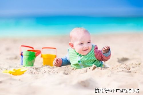 二、 诗意雅致型