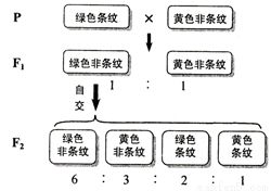 二、  生理与气场的显性表征：财富变化的身体投射