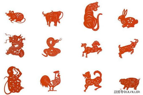 烽烟四起对应哪个生肖？这生肖尾巴特长是哪位？