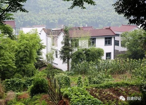 一、 农村住宅风水理论概述与关键要素辨析