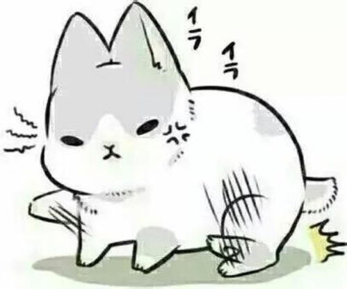 猛打一生肖猛打一数字指的是什么生肖和数字？