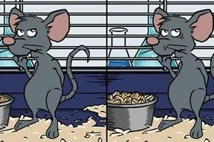 1．鼠：机智灵活，善于变通。在运势方面今年鼠年诞生的人整体运势较优良，事业轻巧巧松得到昂市场价格较高人相助，财运亨通。无疑，他们所展现出的适应环境性和创崭新精神层面是当今职场中不可更多得的十分沉关键资本之一。