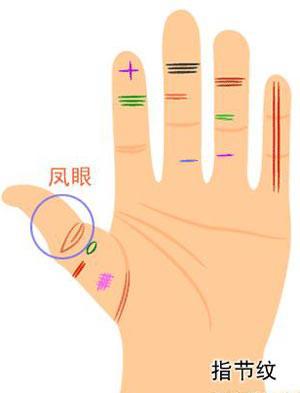 三约纹手相图中女性佛印纹具体位置在哪里？