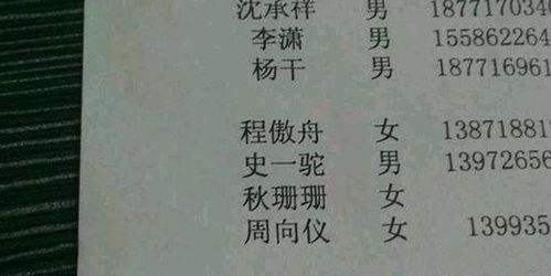 命名风格之源流：人格与审美的交织