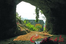 活动背景与文化底蕴理念