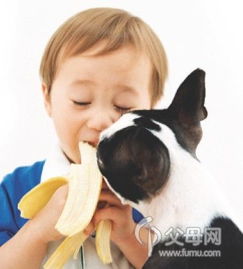 2. 行为监管机制