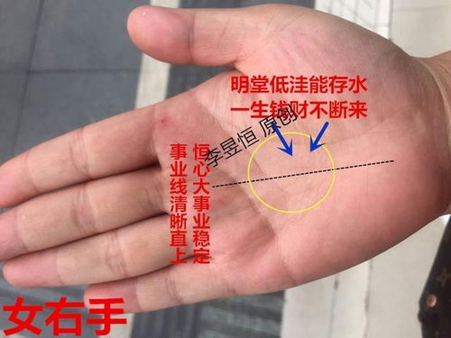 手相图解大全中巽卦右手对照图如何解读？