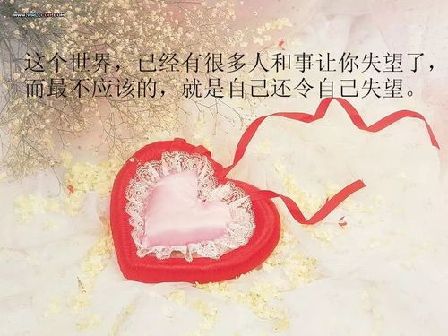 生肖兔：温柔背后的自我保护