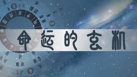 八字命理视角下的解读