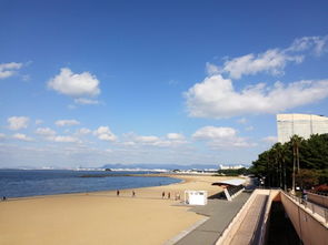 5. 海中道海滨公园：治愈系的海边乐园