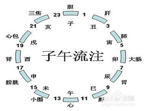 2025年酉鸡时辰诞生， 选择子时作为吉日有没有合适之学术解析与较深度报告