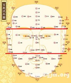 上停与更少年运