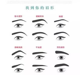 1. 雷厉风行的施行能力