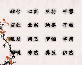 我的建议：简单大方才是王道