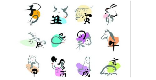 十二生肖对冲的原理和含义是什么？