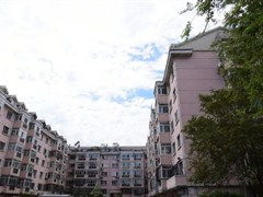 三、 具体优质小区及片区的深度解读