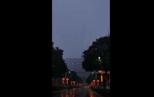 一、  孤独与镜像：心理状态较深渊的映射